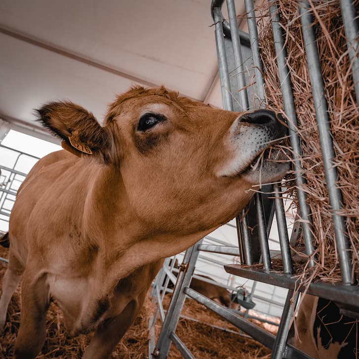 Références – Foire de Châlons