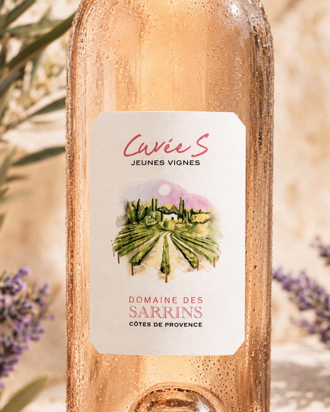 Domaine des Sarrins 2