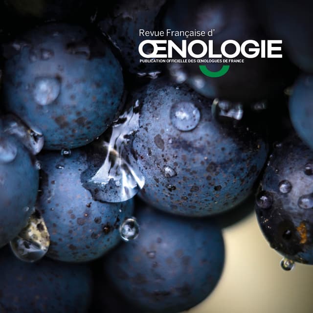 Catalogue revue de vins